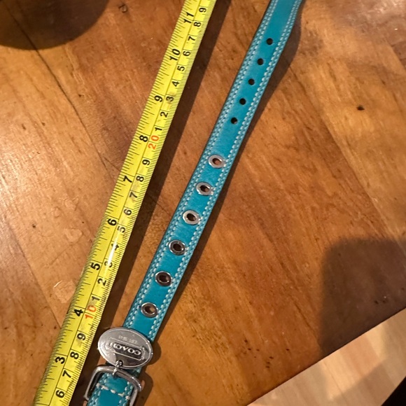 COACH Teal Leather dog collar with Silver Buckle - Picture 2 of 5